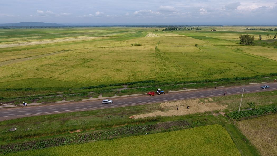 Agricultural Joint Ventures in Kenya: A Practical Guide
