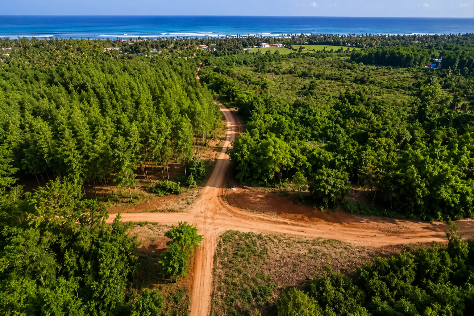 Tiwi 23-Acre Teak Plantation | Agriculture JV Opportunity gallery image
